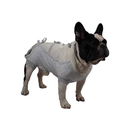 Picture of Grey male dog post operative shirt